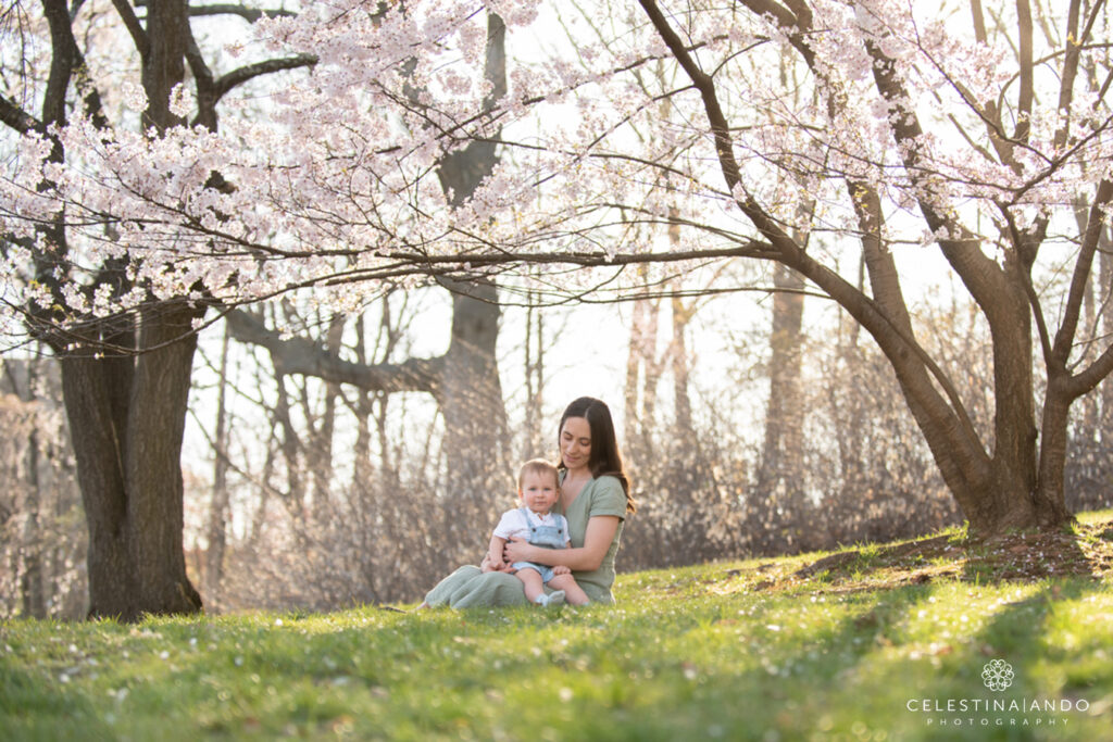 cherry blossom photoshoot
